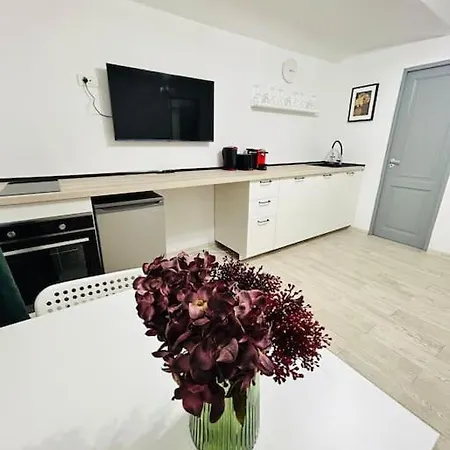 Urban Escape #12lunipebega Apartment Timisoara