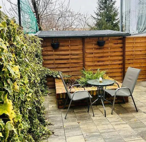 Urban Escape #12lunipebega Тимишоара