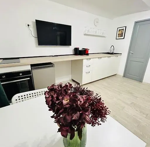 Urban Escape #12lunipebega Lägenhet Timişoara